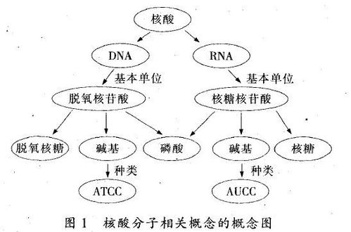 体育教学模式与方法有哪些