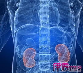 肾炎早期的治疗方法有哪些