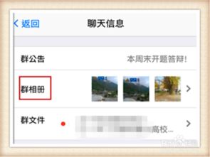 哪些方法可以提高群里的活跃度