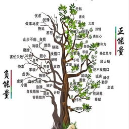 常见的心理状态调试方法有哪些