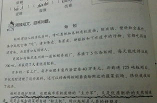 短文用了哪些说明方法