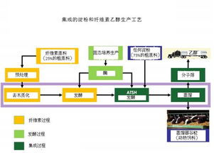 氧化乙醇的方法有哪些