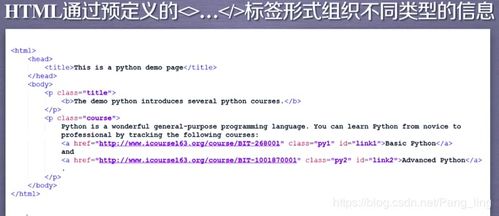 信息组织方法有哪些