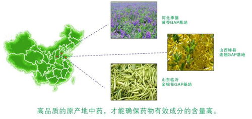 药物提取方法有哪些