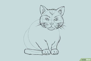 画猫的方法有哪些