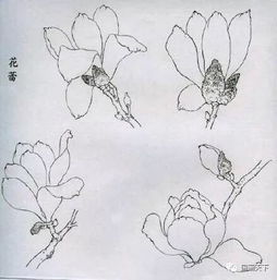 线描画法有哪些绘画方法
