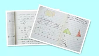 提高课堂效率的导入方法有哪些