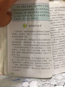 六级上册第四单元说明方法有哪些