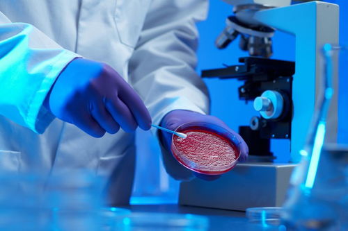 病理学常用的研究方法和临床应用包括哪些