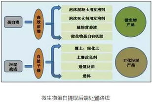 还可以用哪些方法提取蛋白质