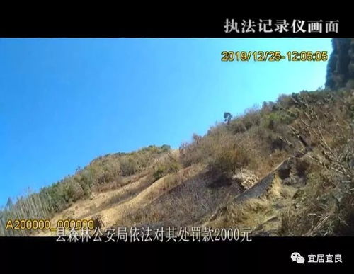 我们有哪些方法不让森林起火