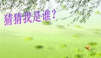 课文的观察方法有哪些