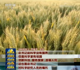 有哪些方法可以让盐咸地变良田