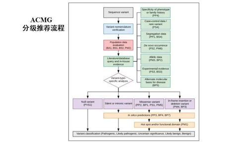 遗传学上遗传病诊断方法有哪些