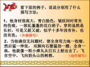 小学生常见的人物描写方法有哪些
