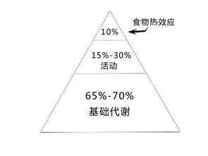 哪些方法可以提高基础代谢