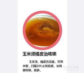 食疗治咳嗽都有什么方法有哪些