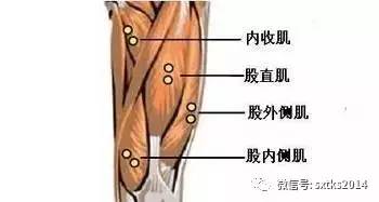 肌肉拉伤的治疗方法是哪些