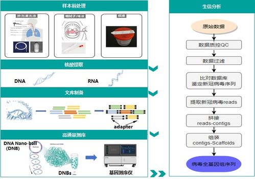 新冠检测方法有哪些