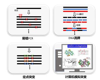 文库构建方法有哪些