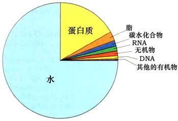 水的补量方法有哪些方法有哪些方法