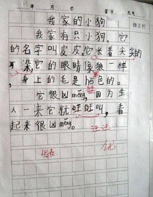 观察日记有哪些方法