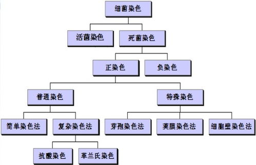 工业化培养细菌的方法有哪些