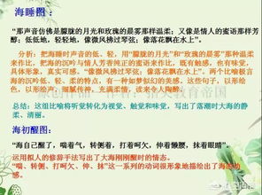 小学生常见写作方法有哪些