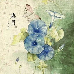 玫瑰的浪漫古诗句