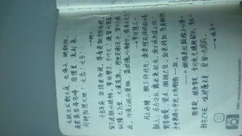 含有竹马的诗句古诗