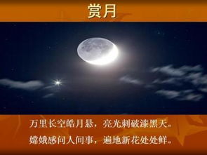 关于放弃股市的诗句