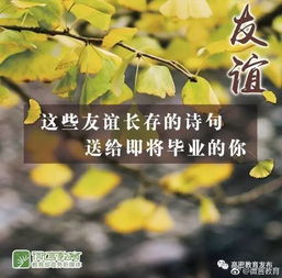 诗句,身后,友情