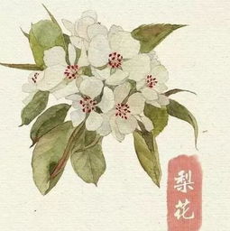 关于鹏龍的诗句