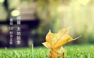 形容立秋的古诗句