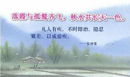 关于爱情和婚姻的诗句