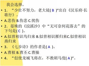 诗句,竞赛,内容