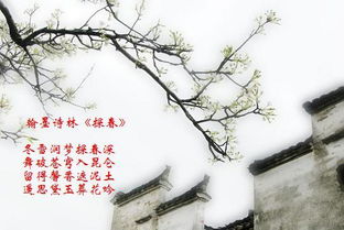 关于春月山的诗句