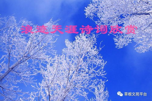 关于浪迹天涯诗句