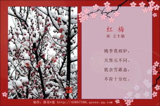 诗句,包含,小学