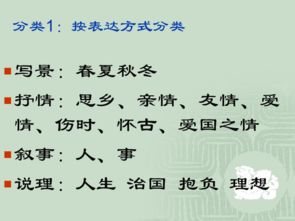古诗,诗句,赏析,中考