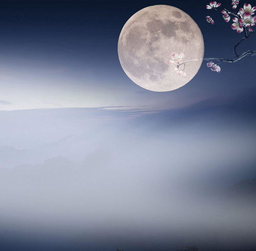 从前明月光古诗句一