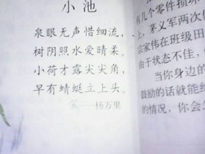 初中关于描写花的诗句