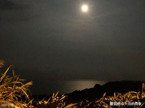 苏轼关于白露的诗句