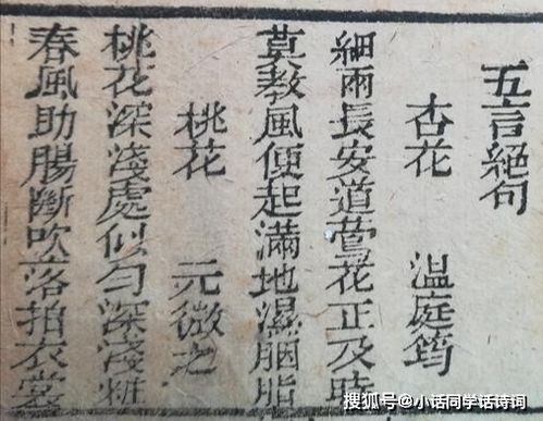 桃树,诗句