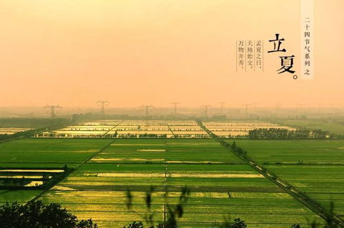 立夏,诗句,美景
