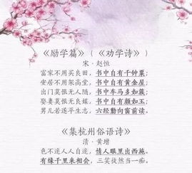 关于教育改革名言诗句