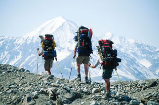 登山挥汗的古诗句
