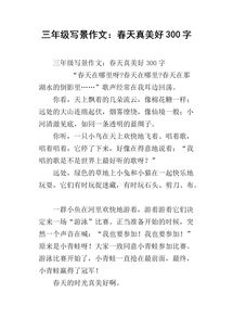 关于写景的诗句作文