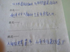 写出一句含有数字的古诗,写出一句带有数字的古诗,写出两句带有数字的古诗