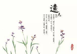 关于药的诗句